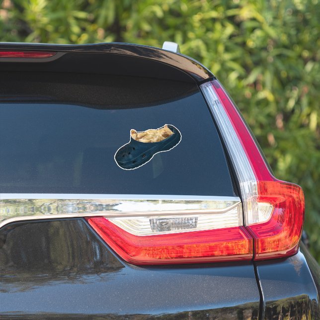 "Snug as a Bug: The Kitten's Croc Nap" (Car Side)