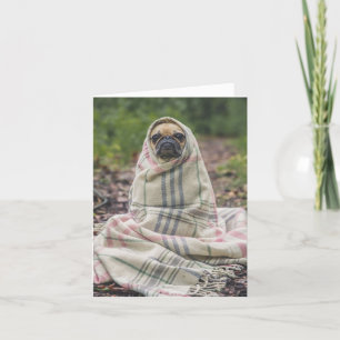 Snug as a Pug in a Rug Card