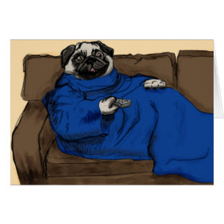 Snug(gie) pug