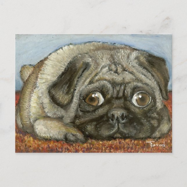 Snug pug postcard (Front)