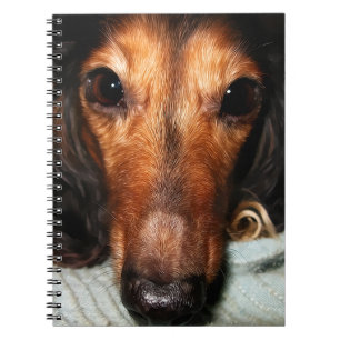 Snuggle Bugs MacKenzie Notebook
