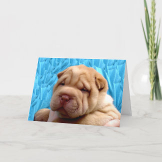 Snuggle Me Greeting Card