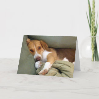 Snuggle Pup Note Card