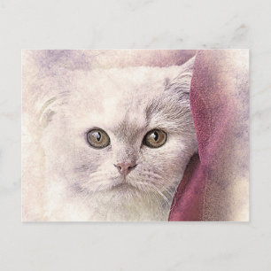 Snuggle Time Kitty   Abstract   Watercolor Postcard