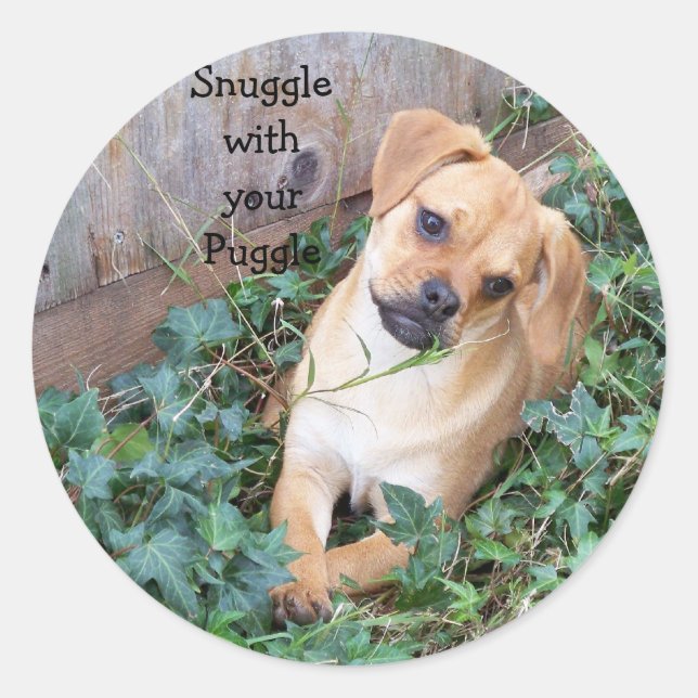 Snuggle w/ur Puggle Sticker (Front)