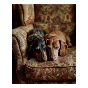 Snuggled Dachshunds Rustic Brown Cozy Art Poster