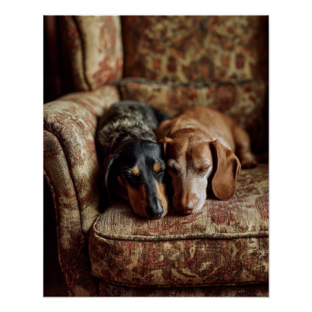 Snuggled Dachshunds Rustic Brown Cozy Art Poster (Front)