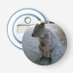 "Snuggles in Australia: A Cuddly Grey Quokka" Bottle Opener