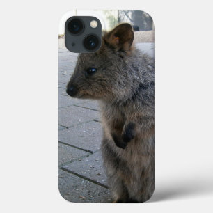 "Snuggles in Australia: A Cuddly Grey Quokka" iPhone 13 Case