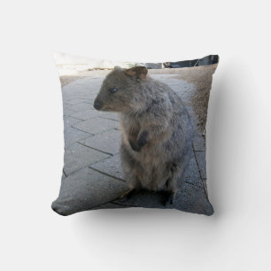 "Snuggles in Australia: A Cuddly Grey Quokka" Cushion