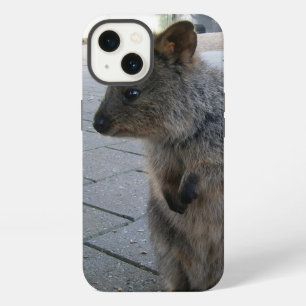 "Snuggles in Australia: A Cuddly Grey Quokka" iPhone 13 Case