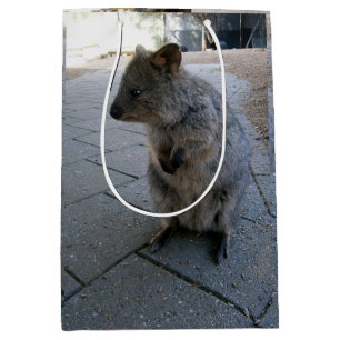 "Snuggles in Australia: A Cuddly Grey Quokka" Medium Gift Bag