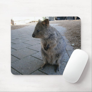 "Snuggles in Australia: A Cuddly Grey Quokka" Mouse Pad