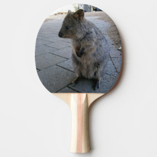 "Snuggles in Australia: A Cuddly Grey Quokka" Ping Pong Paddle