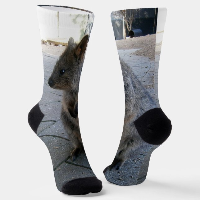 "Snuggles in Australia: A Cuddly Grey Quokka" Socks (Angled)
