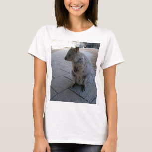 "Snuggles in Australia: A Cuddly Grey Quokka" T-Shirt