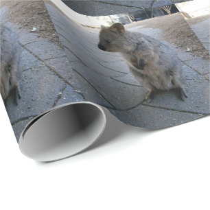 "Snuggles in Australia: A Cuddly Grey Quokka" Wrapping Paper