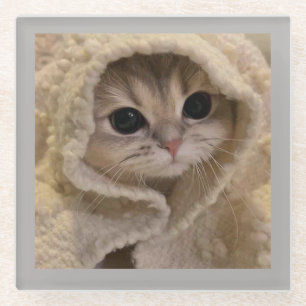 Snuggly Cat Glass Coaster