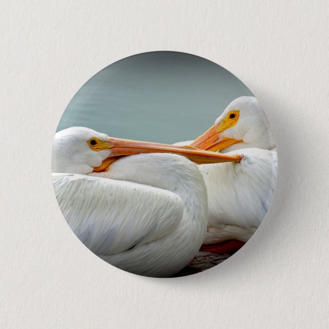 Snuggly Pelicans 6 Cm Round Badge (Front)