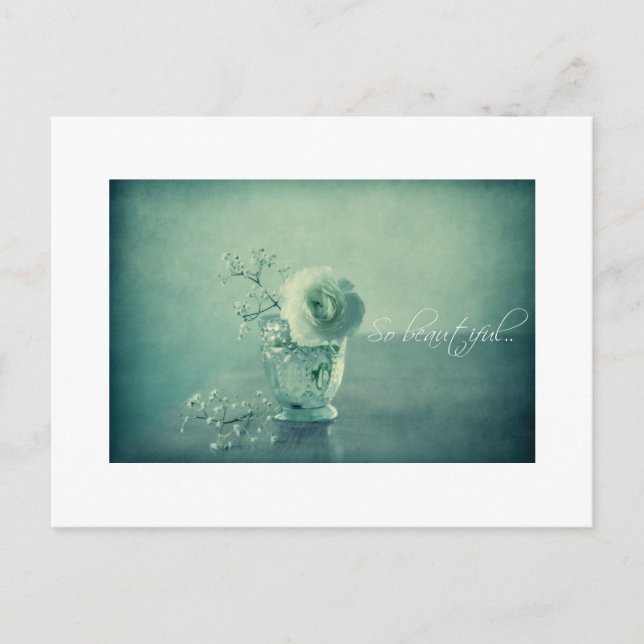 So beautiful II Postcard (Front)