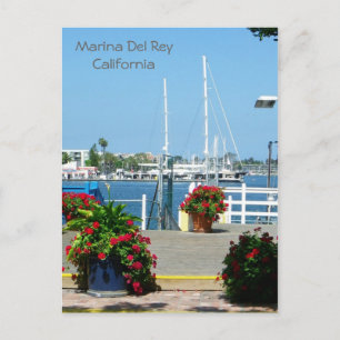 So Beautiful Marina Del Rey Postcard! Postcard