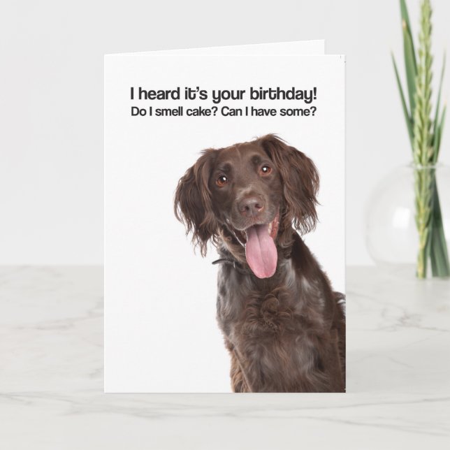 So I Smell Cake? Can I Have Some? (GWP) - Birthday Card (Front)