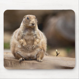So I'm a Little Short for my Weight Mouse Mat