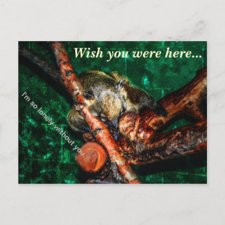 So Lonely Without You Postcard