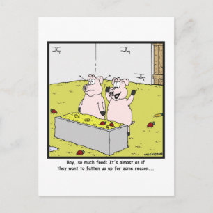 So much food: Pig cartoon Postcard