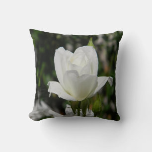 So pure.... cushion