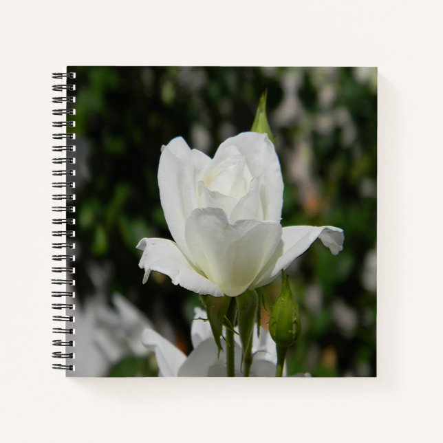 So pure... notebook (Front)