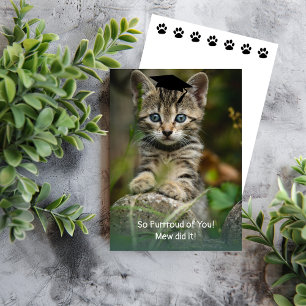 So Purroud of You! Graduation Kitten