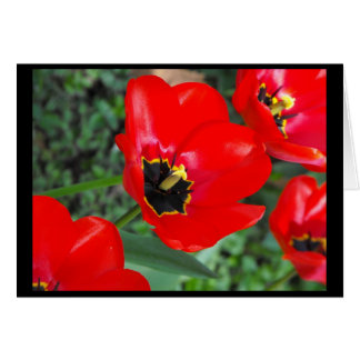 So ready for Spring~1