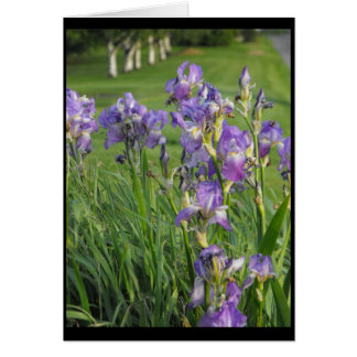 So ready for Spring ~ 21