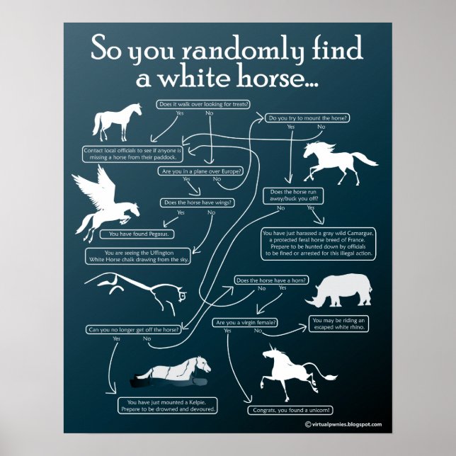 So you randomly find a white horse... poster (Front)