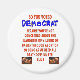 SO YOU VOTED DEMOCTAT MAGNET