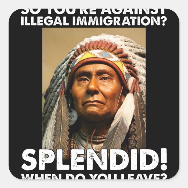 So You're Against illegal Immigration Splendid Nat Square Sticker (Front)