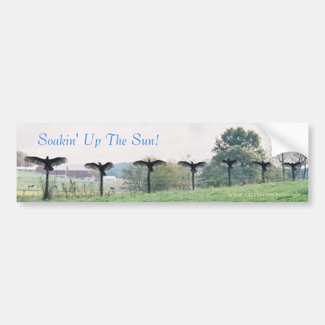 Soakin' Up The Sun-Bumper Sticker (Front)