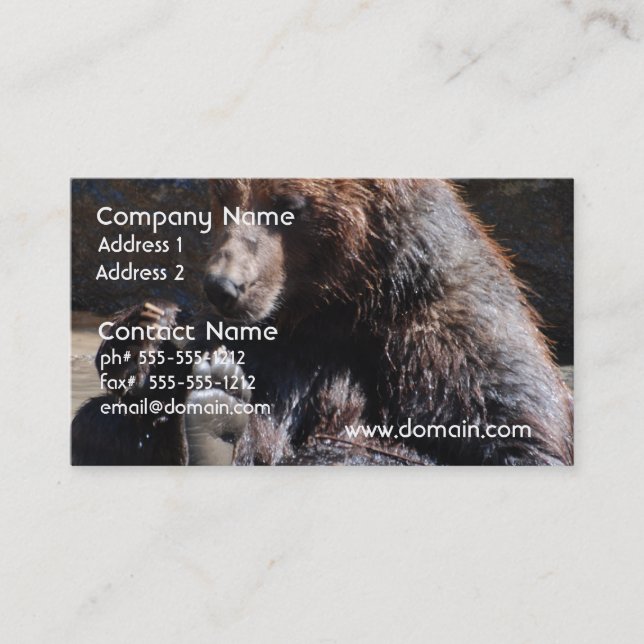 Soaking Bear Business Card (Front)