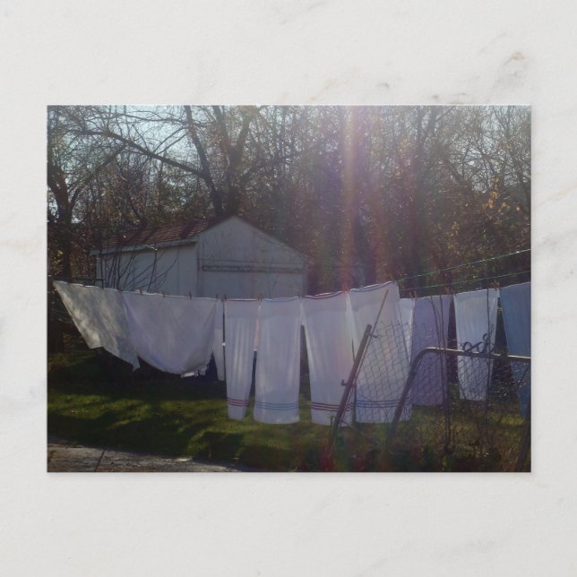 "Soaking Up The Sun" Postcard (Front)