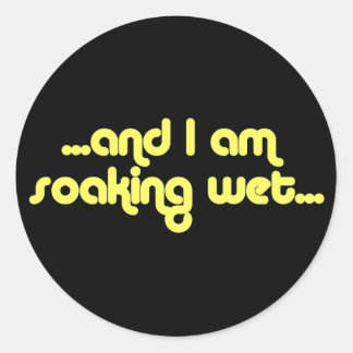 Soaking wet - definition of soaking wet by The Free Dictionary