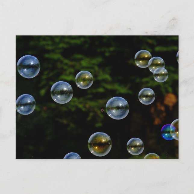 SOAP BUBBLES BLACK BACKGROUND BUBBLY PHOTOGRAPHY D POSTCARD (Front)