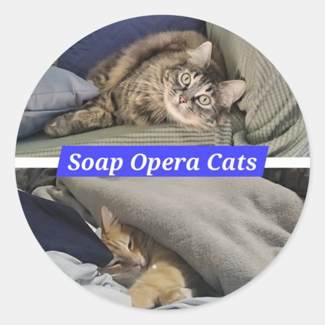 Soap Opera Cats Stickers (Front)