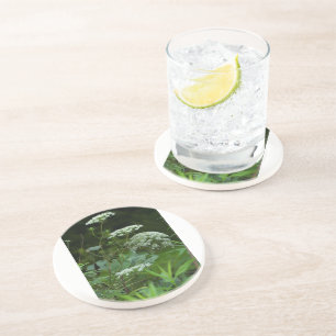 soapstone coaster template
