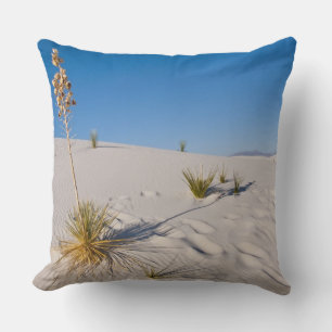 Soaptree Yucca, long Shadow, Transverse Dunes Cushion
