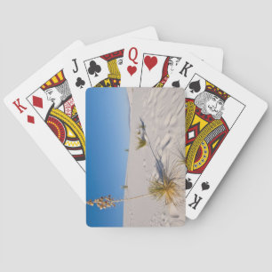 Soaptree Yucca, long Shadow, Transverse Dunes Playing Cards