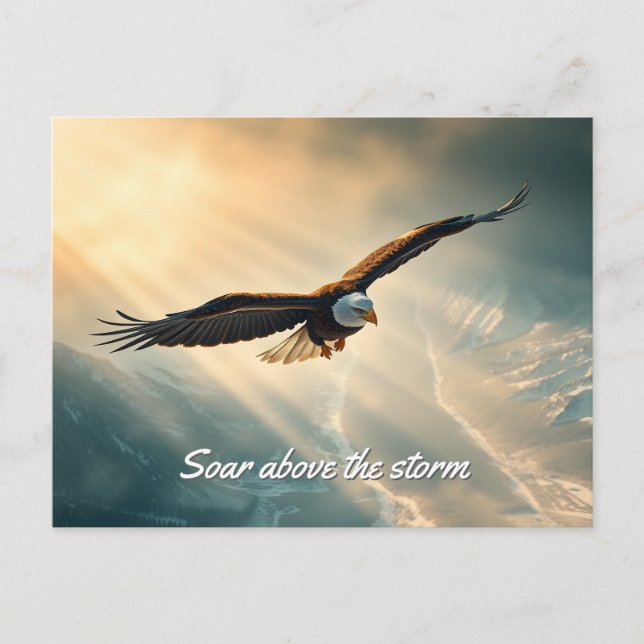 Soar above the storm |  postcard (Front)