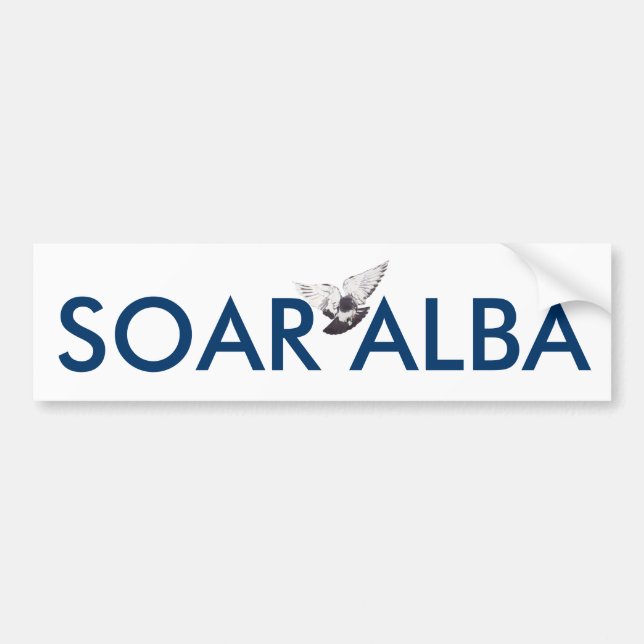 Soar Alba Scottish Independence Bumper Sticker (Front)
