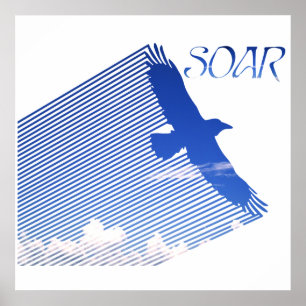 Soar Poster