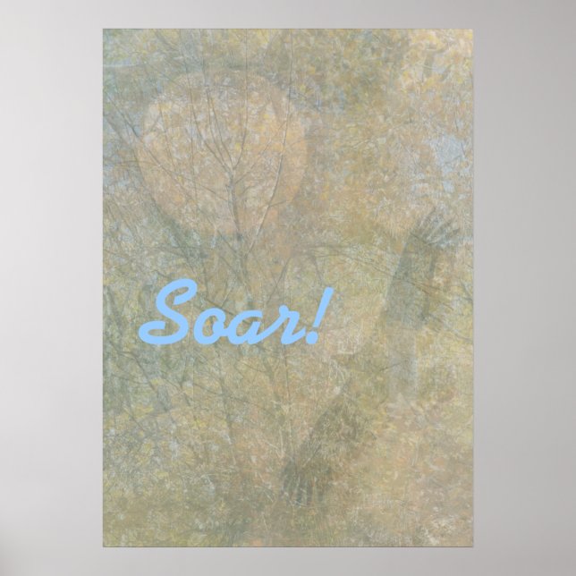 Soar! Poster (Front)